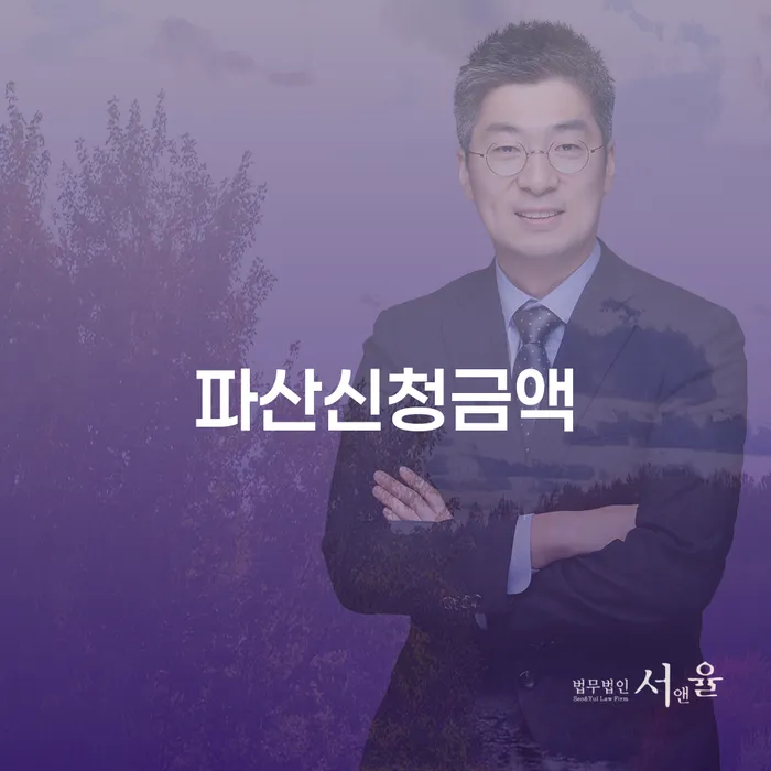 연체전개인회생 대출 받은 돈채무조정 확인하자