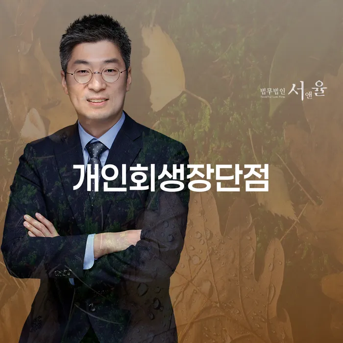 기대출과다자대환대출 연체 시 개인회생으로 해결 최신정보