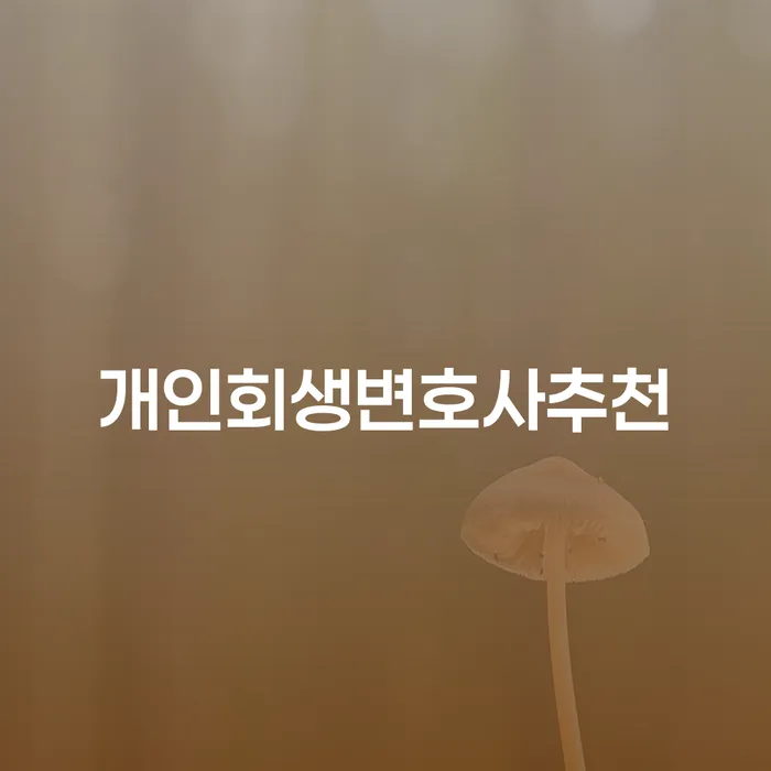 파산신청상담 채무조정제도을 이용하여 정보알아보기