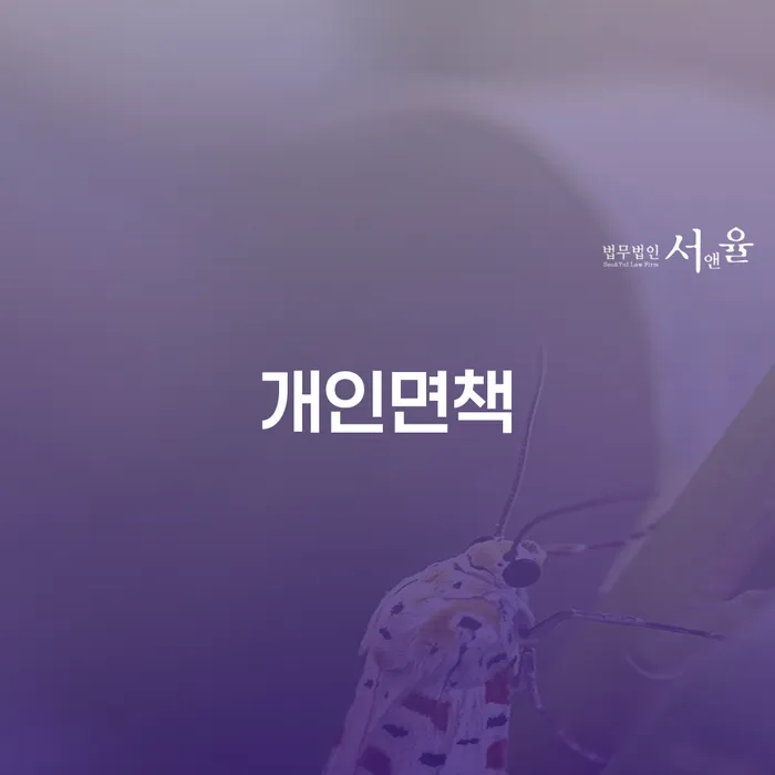 신용불량자회복 개인회생으로 해결 미리알기