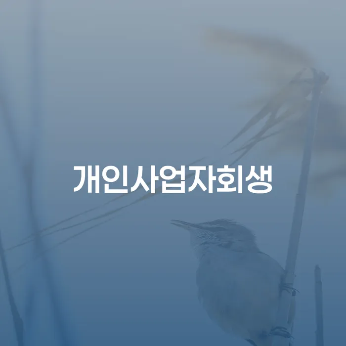신용불량자회복 빚독촉 선택해야 하는
