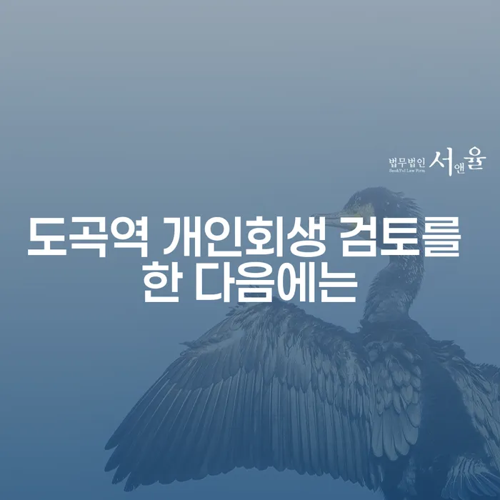 도곡역 개인회생 검토를 한 다음에는
