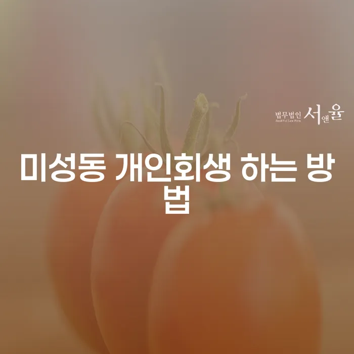 미성동에서 개인회생을 진행하려면 어떻게 해야 할까요?