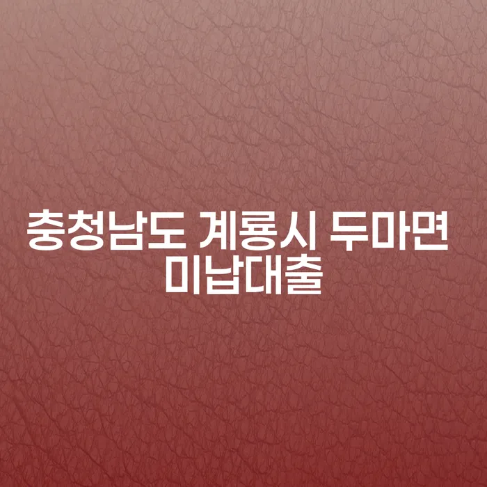 충청남도 계룡시 두마면 미납대출, 어떻게 해결할 수 있을까요?