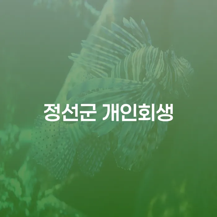 정선군 개인회생을 통해 채무 해결을 시작할 시간입니다