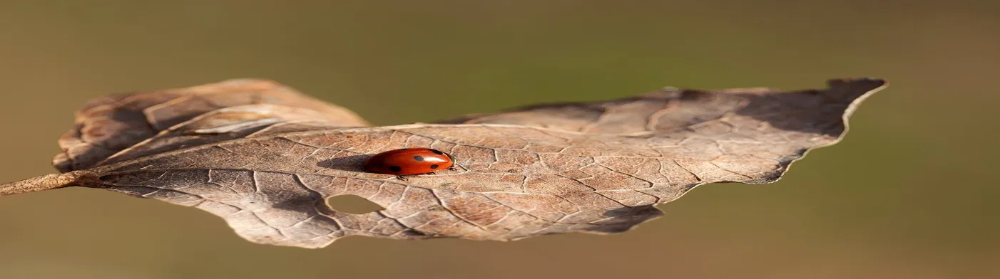 법무법인 서앤율