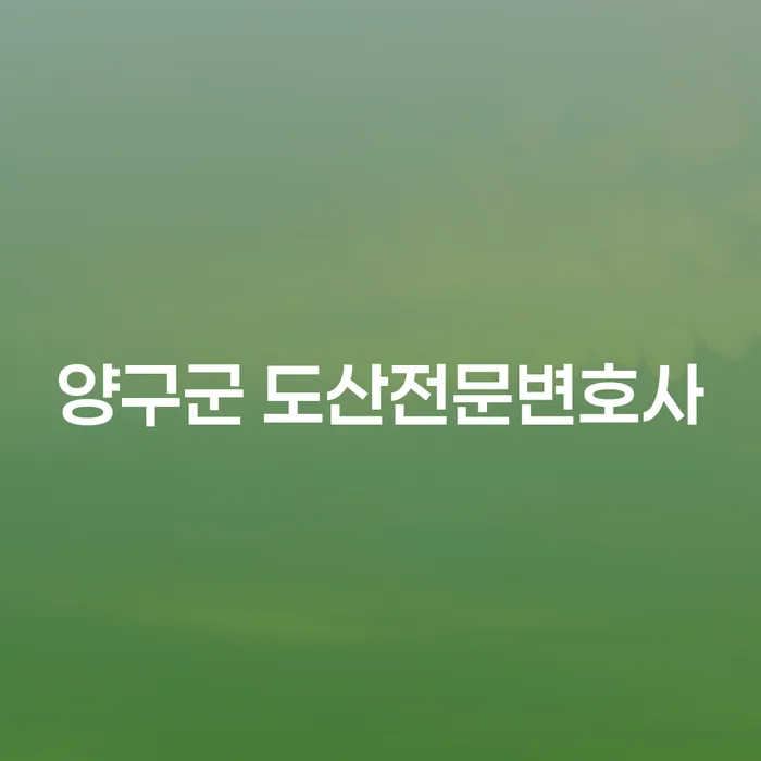 양구군 도산전문변호사와 함께하는 개인회생과 입금 확인 절차